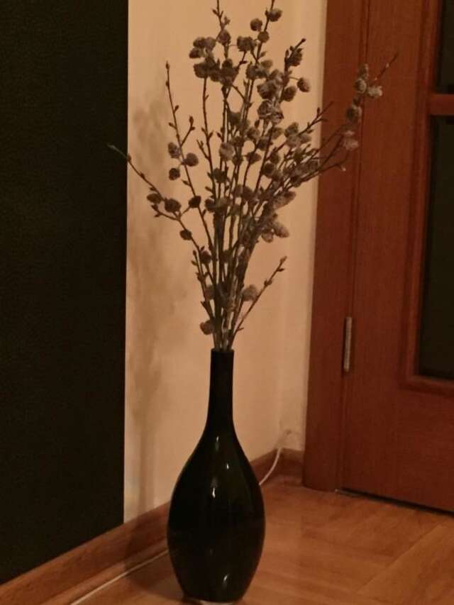 Апартаменты Vila Tatiana Delux Apartman Бар-29